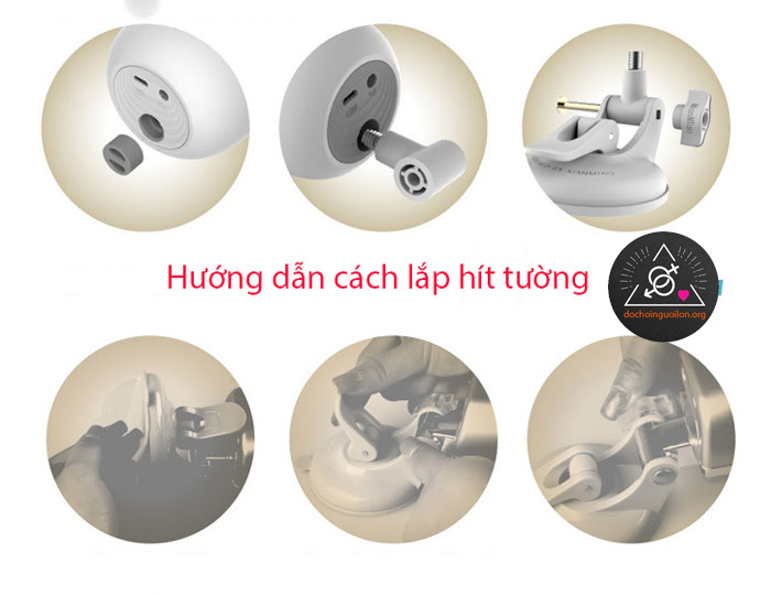 Âm đạo hít tường Manmiao 3D